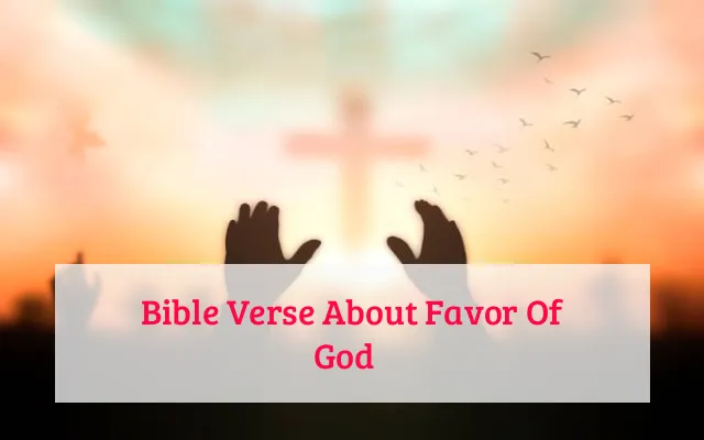 Bible Verse About Favor Of God​