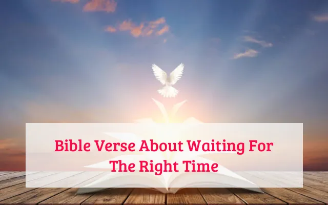 Bible Verse About Waiting For The Right Time