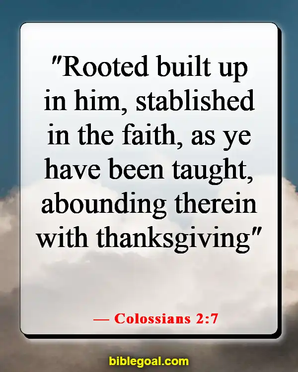 Bible Verses About Being Anchored In Christ (Colossians 2:7)