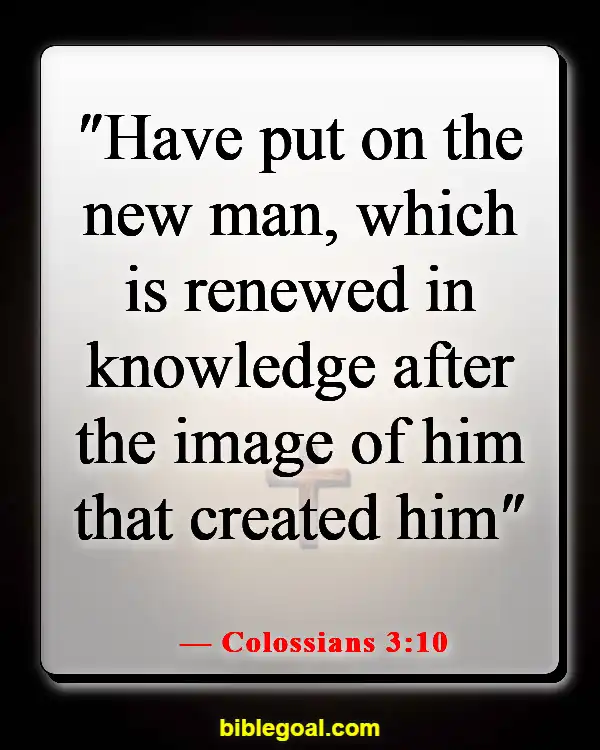Bible Verse About Filling Your Mind With Good Things (Colossians 3:10)