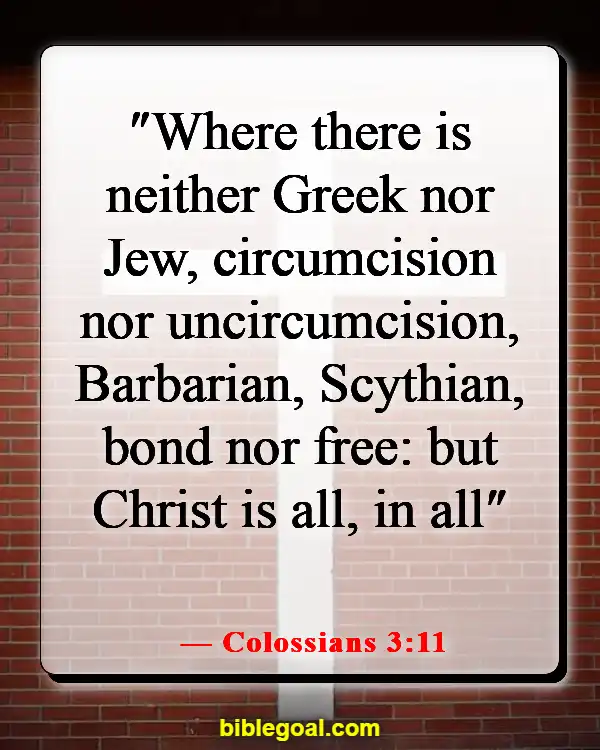 Bible Verses About Accepting Others As They Are (Colossians 3:11)