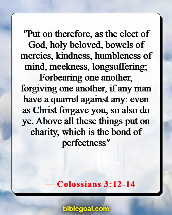 Bible Verses About Seeing The Best In Others (Colossians 3:12-14)