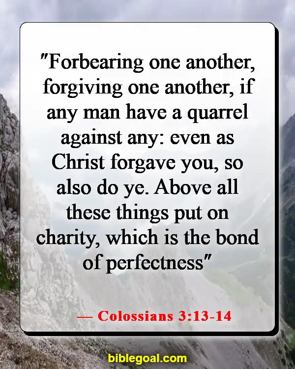 Bible Verses About Accepting Others As They Are (Colossians 3:13-14)