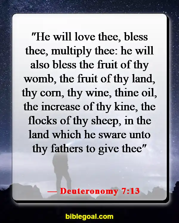 Bible Verse About Abundant Blessings (Deuteronomy 7:13)
