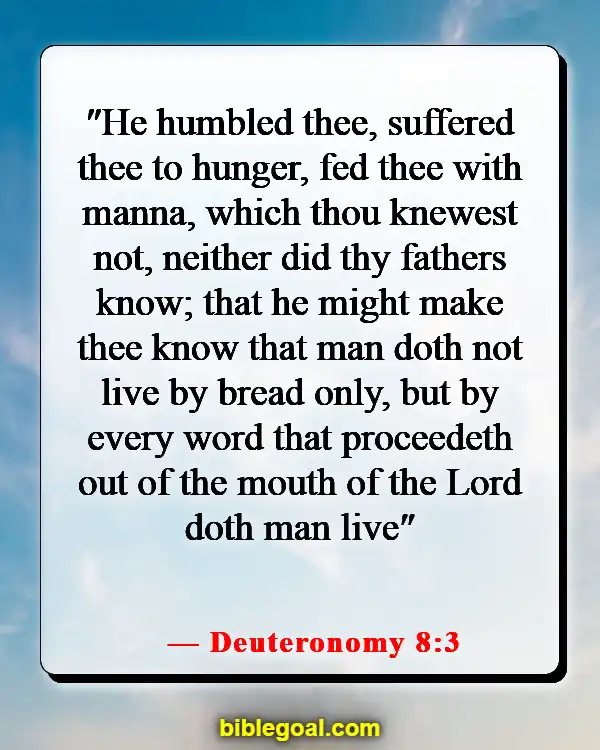 Bible Verses About Food And Fellowship (Deuteronomy 8:3)