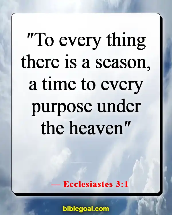 Bible Verses About Destiny (Ecclesiastes 3:1)