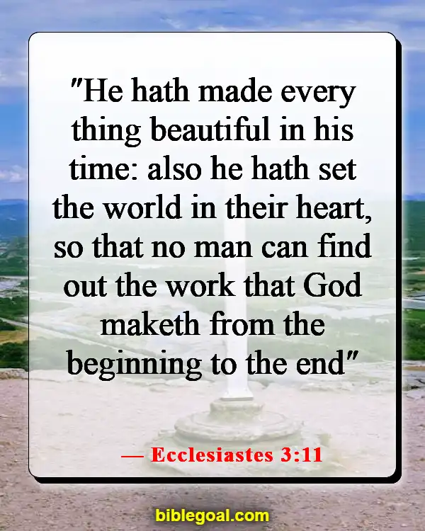 Bible Verse About God's Timing (Ecclesiastes 3:11)