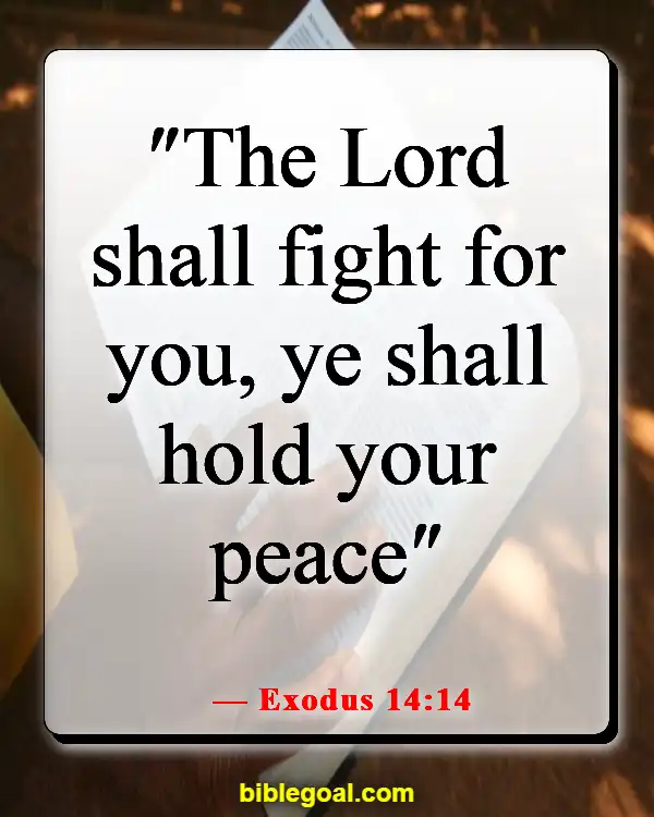 Bible Verses About Fighting Spiritual Warfare (Exodus 14:14)