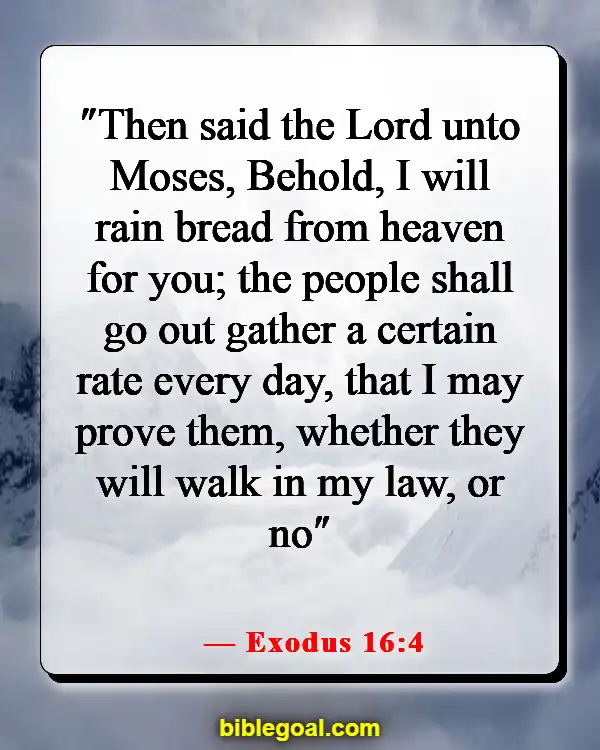 Bible Verses About Food And Fellowship (Exodus 16:4)