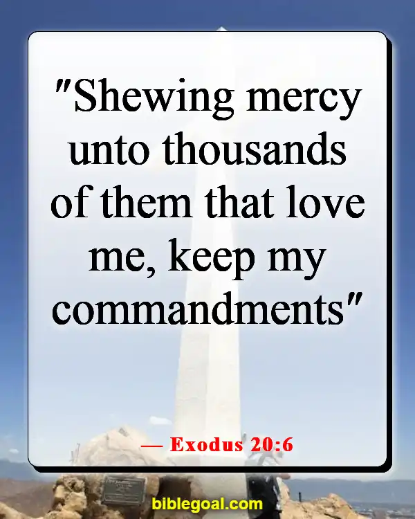 Bible Verses About Abiding By The Law (Exodus 20:6)