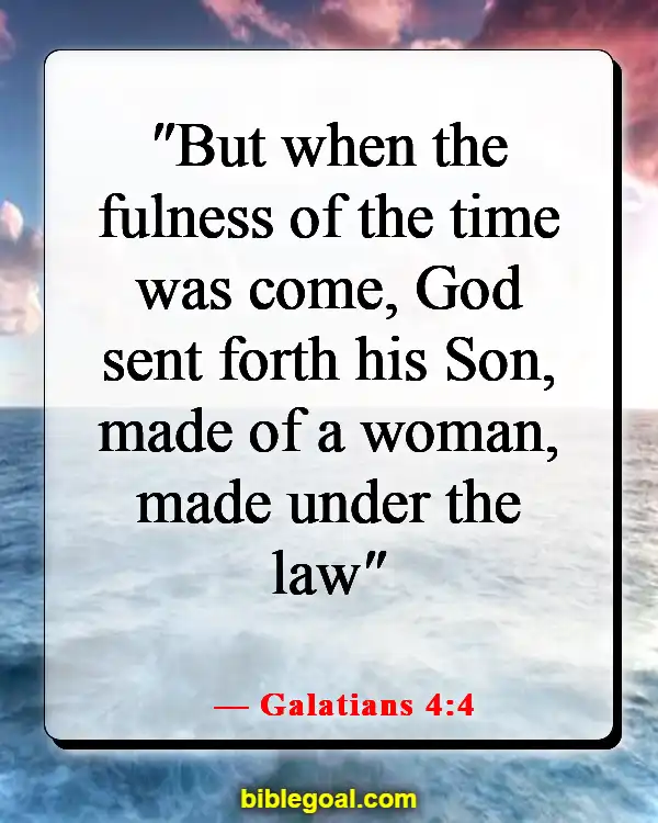 Bible Verses About Seasons Of Life (Galatians 4:4)