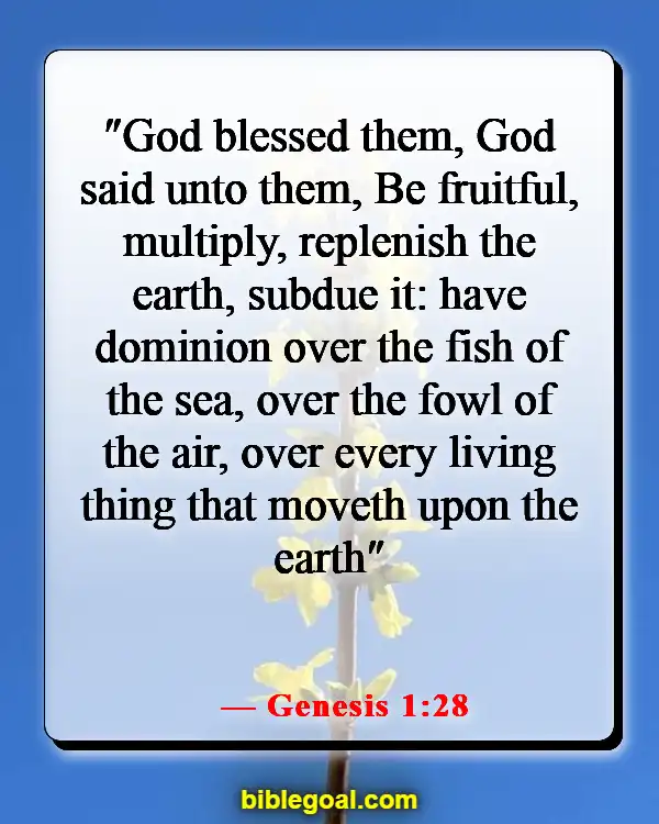 Bible Verse About Abundant Blessings (Genesis 1:28)