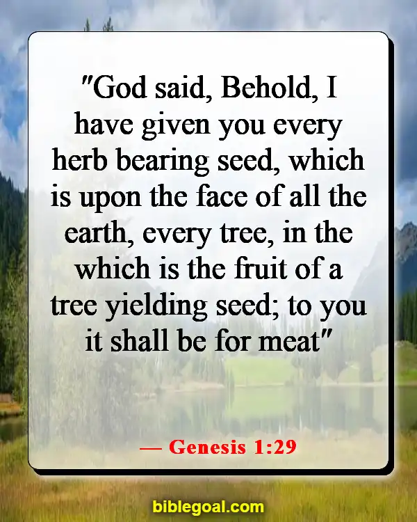 Bible Verses About Food And Fellowship (Genesis 1:29)