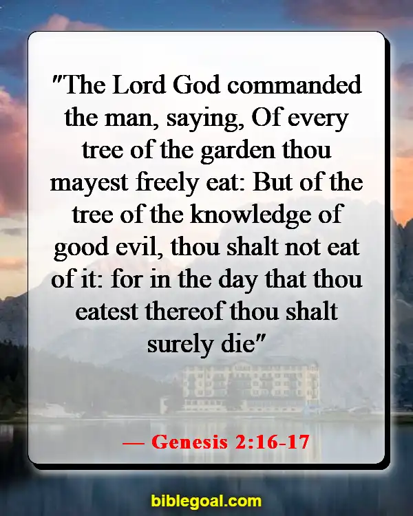 Bible Verses About Freedom Of Choice (Genesis 2:16-17)