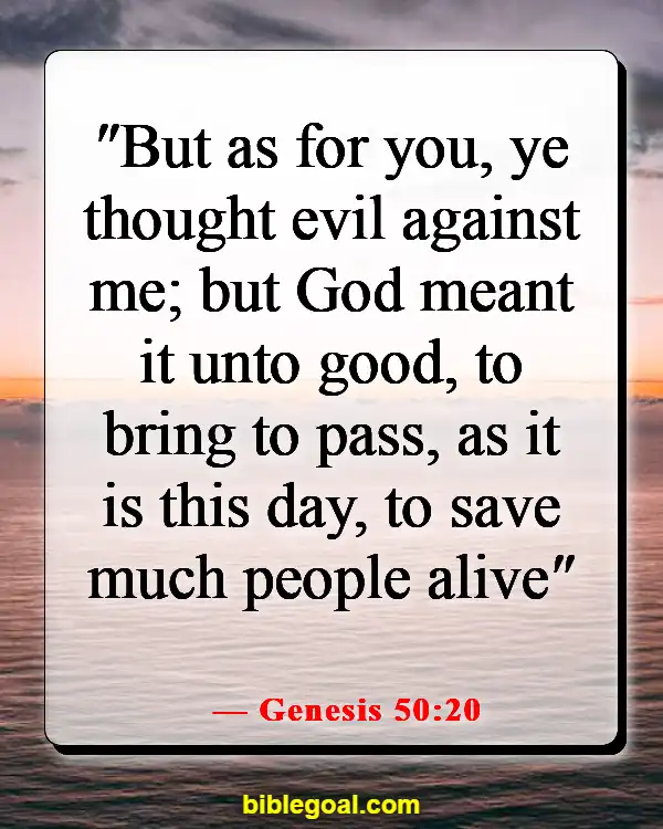 Bible Verses About Destiny (Genesis 50:20)