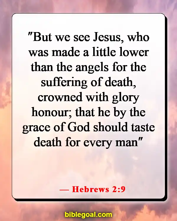 Bible Verses About God Accepting Everyone (Hebrews 2:9)