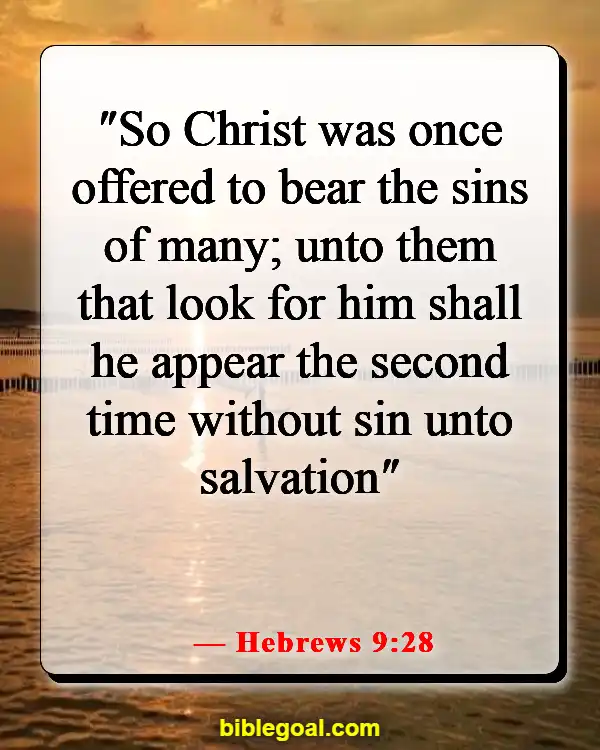 Bible Verses About Salvation Through Christ Alone (Hebrews 9:28)