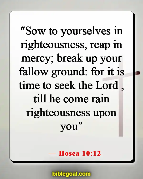 Bible Verses About Sowing And Reaping (Hosea 10:12)