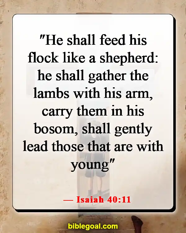 Bible Verses About God Leading Your Path (Isaiah 40:11)