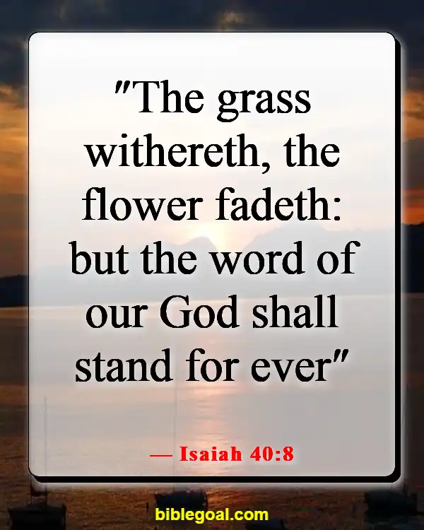 Bible Verses About What Is Important In Life (Isaiah 40:8)