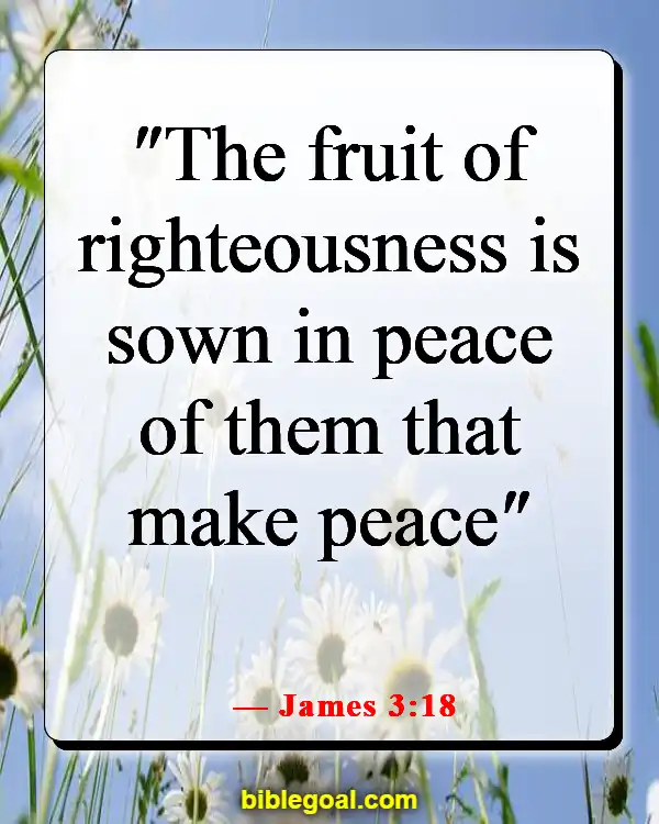 Bible Verses About Peace In The Presence Of God (James 3:18)