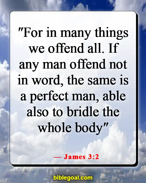 Bible Verses About Not Being Perfect (James 3:2)