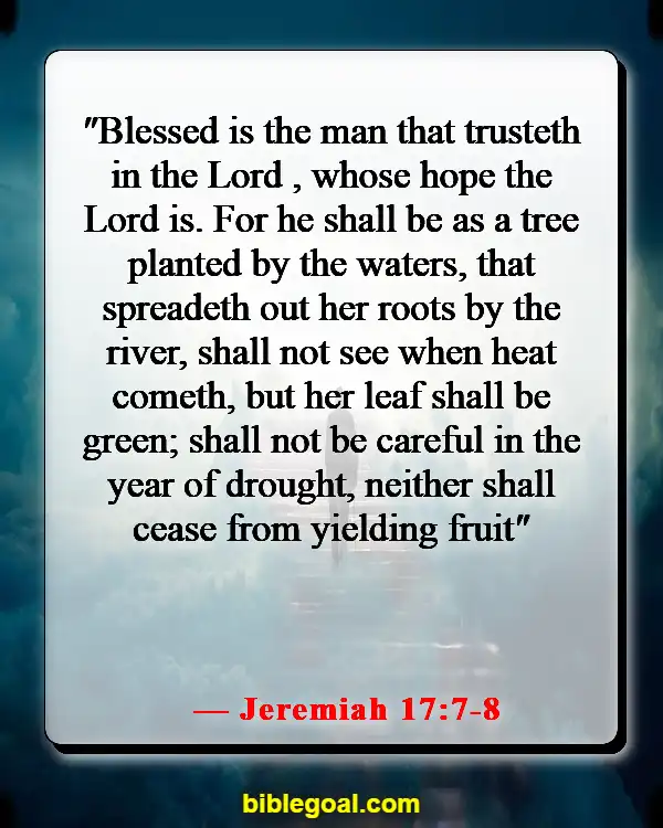 Bible Verse About Abundant Blessings (Jeremiah 17:7-8)