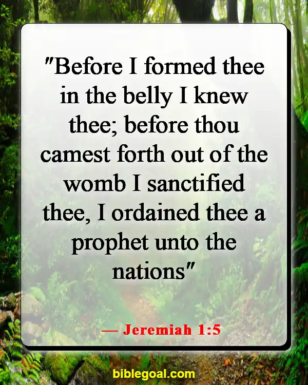 Bible Verses About Destiny (Jeremiah 1:5)