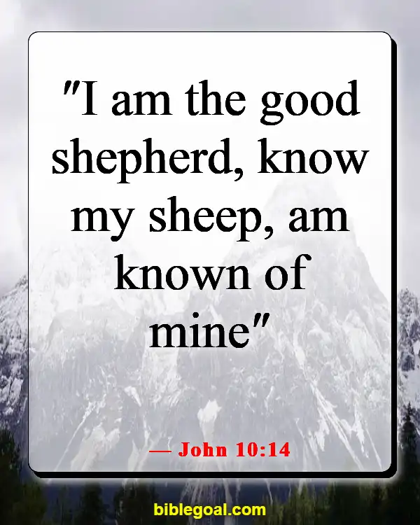 Bible Verses About God Desiring A Relationship With Us (John 10:14)