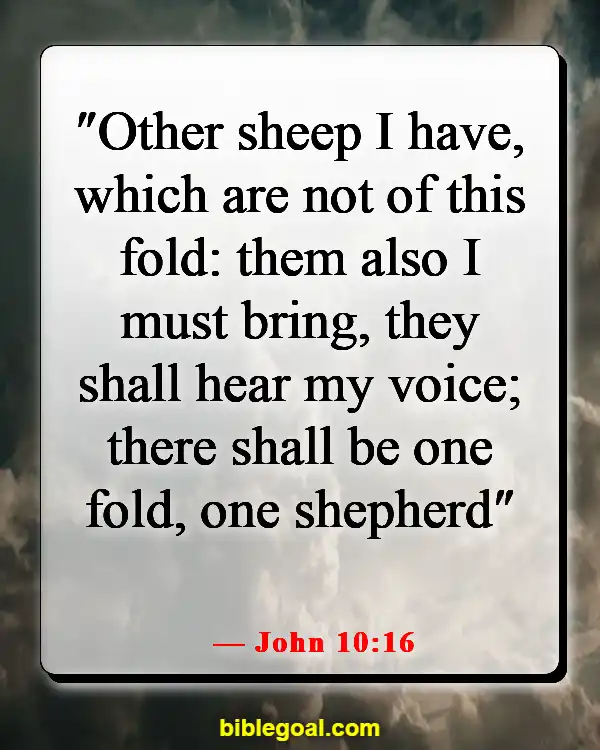 Bible Verses About God Accepting Everyone (John 10:16)