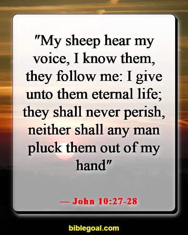 Bible Verses About Feeling The Presence Of God (John 10:27-28)