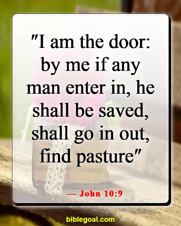 Bible Verses About Salvation Through Christ Alone (John 10:9)