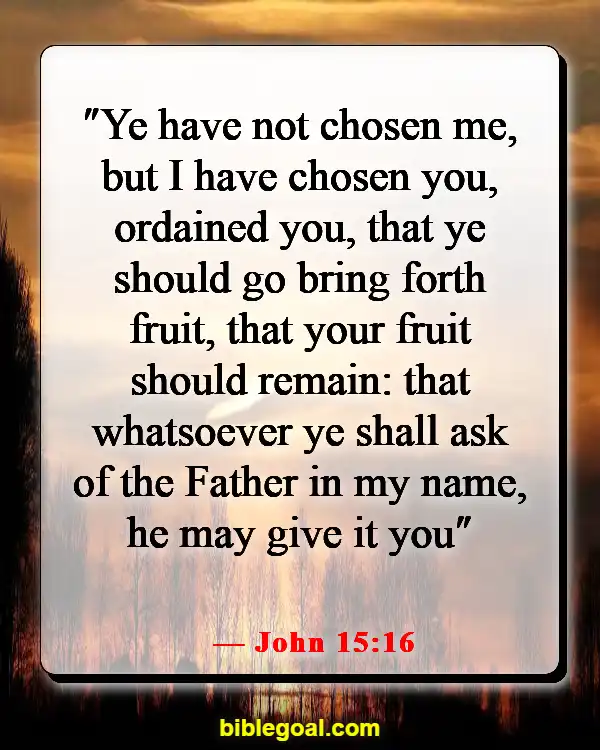 Bible Verses About Destiny (John 15:16)