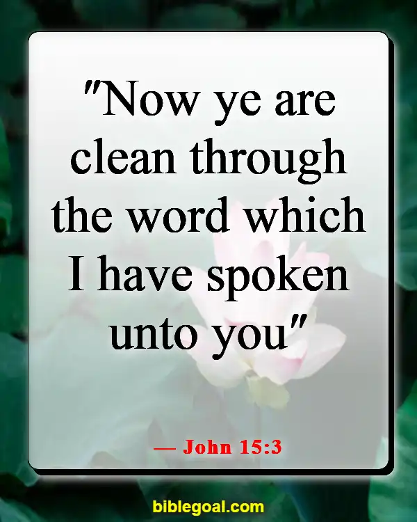 Bible Verses About Healing The Mind (John 15:3)
