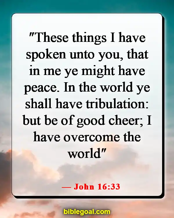 Bible Verse About Hope For The Future (John 16:33)