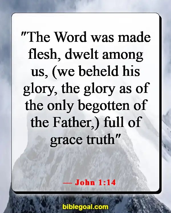 Bible Verses About Not Being Perfect (John 1:14)