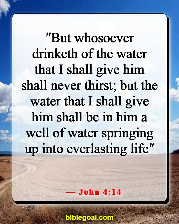 Bible Verse Food For The Soul (John 4:14)