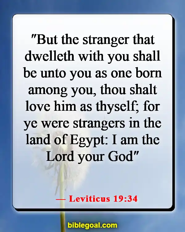 Bible Verses About Accepting Others As They Are (Leviticus 19:34)