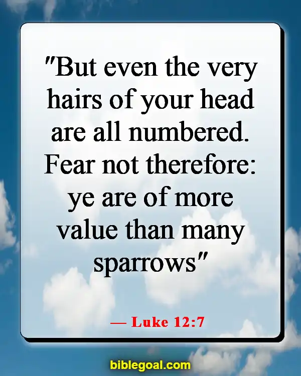 Bible Verses About How Precious We Are To God (Luke 12:7)