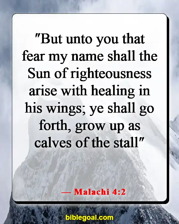 Bible Verses About God Protecting Us From Sickness (Malachi 4:2)
