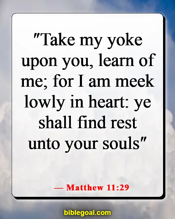Bible Verses For When You Feel Dumb (Matthew 11:29)