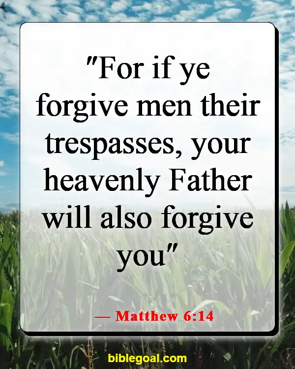 Bible Verses About Being Nice To Those Who Are Mean (Matthew 6:14)