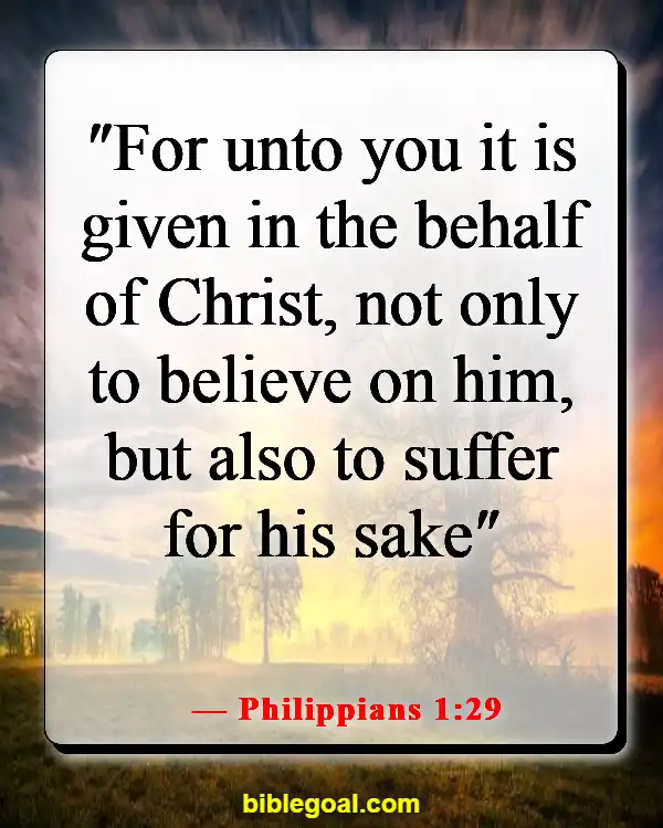 Bible Verses About Believing Without Seeing (Philippians 1:29)