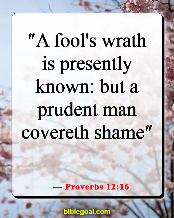 Bible Verses About Being Nice To Those Who Are Mean (Proverbs 12:16)