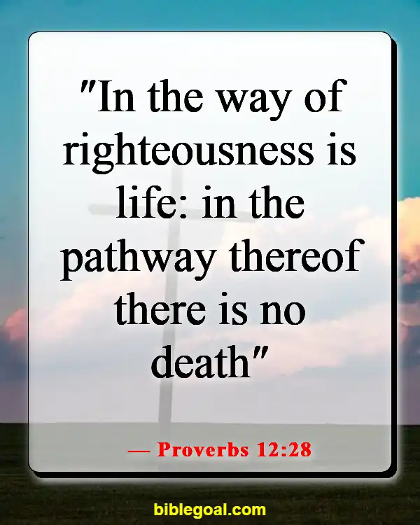 Bible Verses About Paths Of Life (Proverbs 12:28)