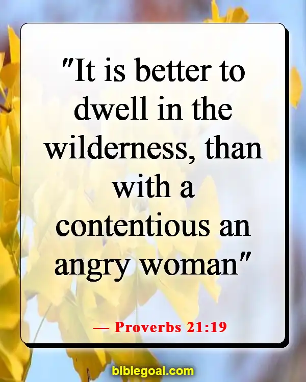 Bible Verses About God Sending You The Right Person (Proverbs 21:19)