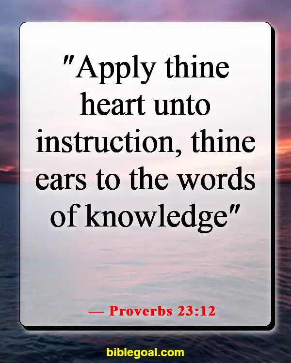 Bible Verses For When You Feel Dumb (Proverbs 23:12)