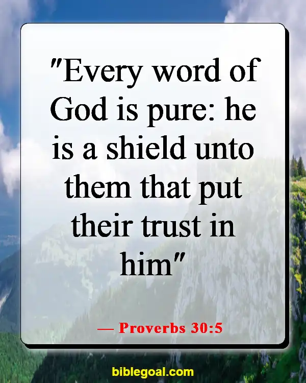 Bible Verse Food For The Soul (Proverbs 30:5)