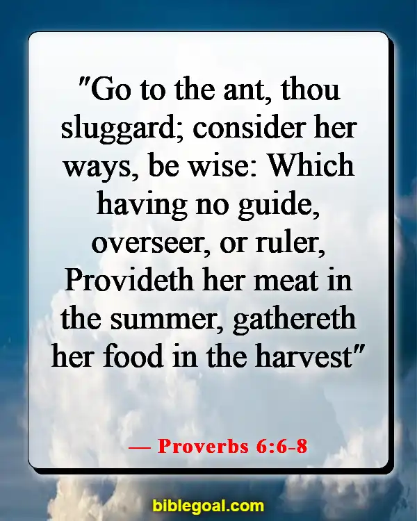 Bible Verses About Taking Responsibility For Your Own Actions (Proverbs 6:6-8)