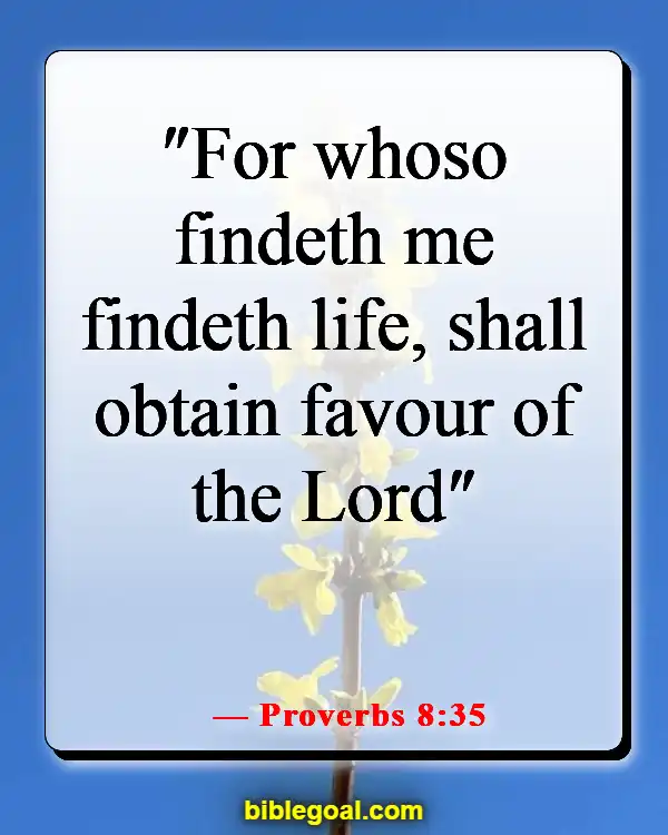 Bible Verse About Favor Of God (Proverbs 8:35)